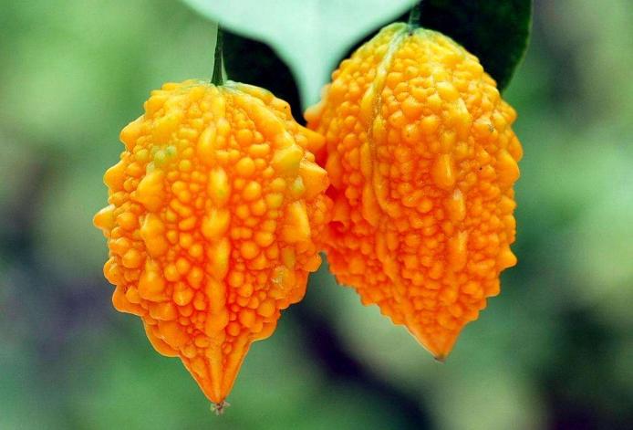 十大难吃的水果排行榜,十大公认难吃的水果