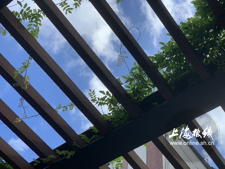 魔都100：藏在静安市中心最袖珍的公园重温老上海的儿时记忆