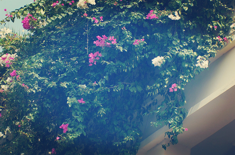 2023高中必背英语词汇3500词,2021高一英语必修一单词跟读