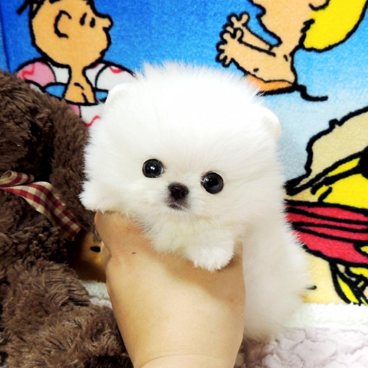 畸形的爱和畸形的恨,畸形的爱真的可怕吗