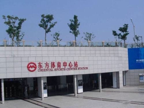 浦东三林是否成为下一个市中心,浦东新区三林在哪里