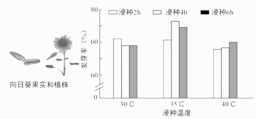 七上生物绿色植物的呼吸作用复习,高一生物必修一呼吸作用习题讲解