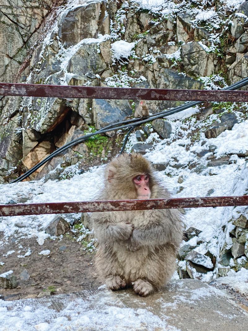 日本小众路线冬,日本冬天观光公路
