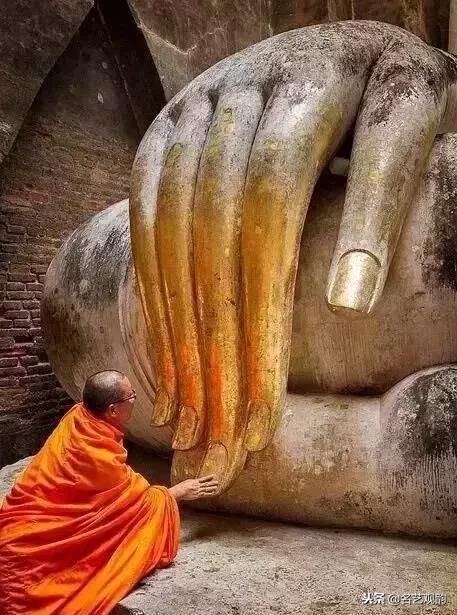 欣赏世间之美,欣赏之美