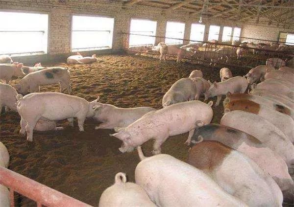 日本爱东町地区的循环农业,日本滋贺县爱东町区