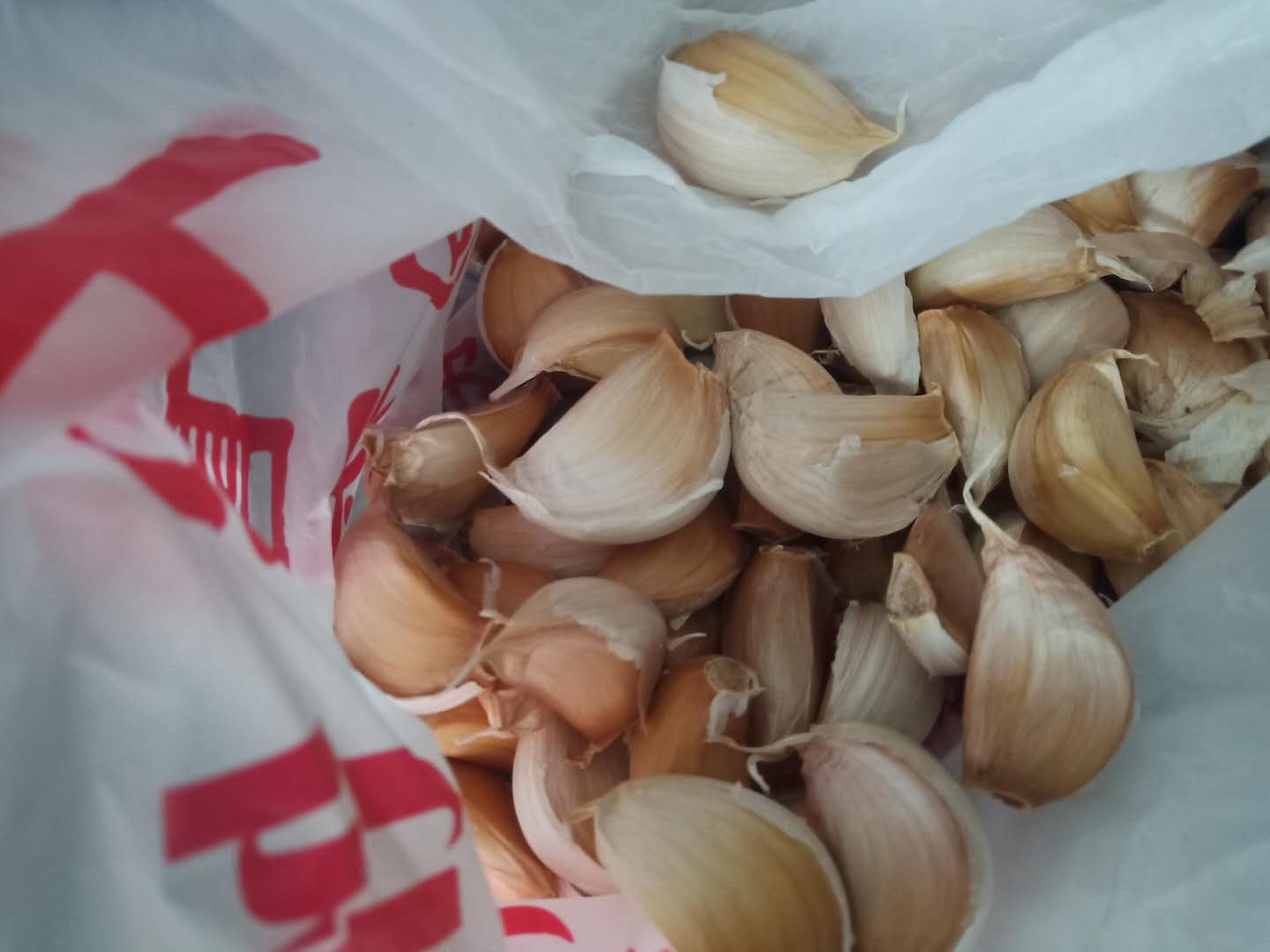 大蒜怎么种又快又简单小学生,种大蒜的最好方法小技巧