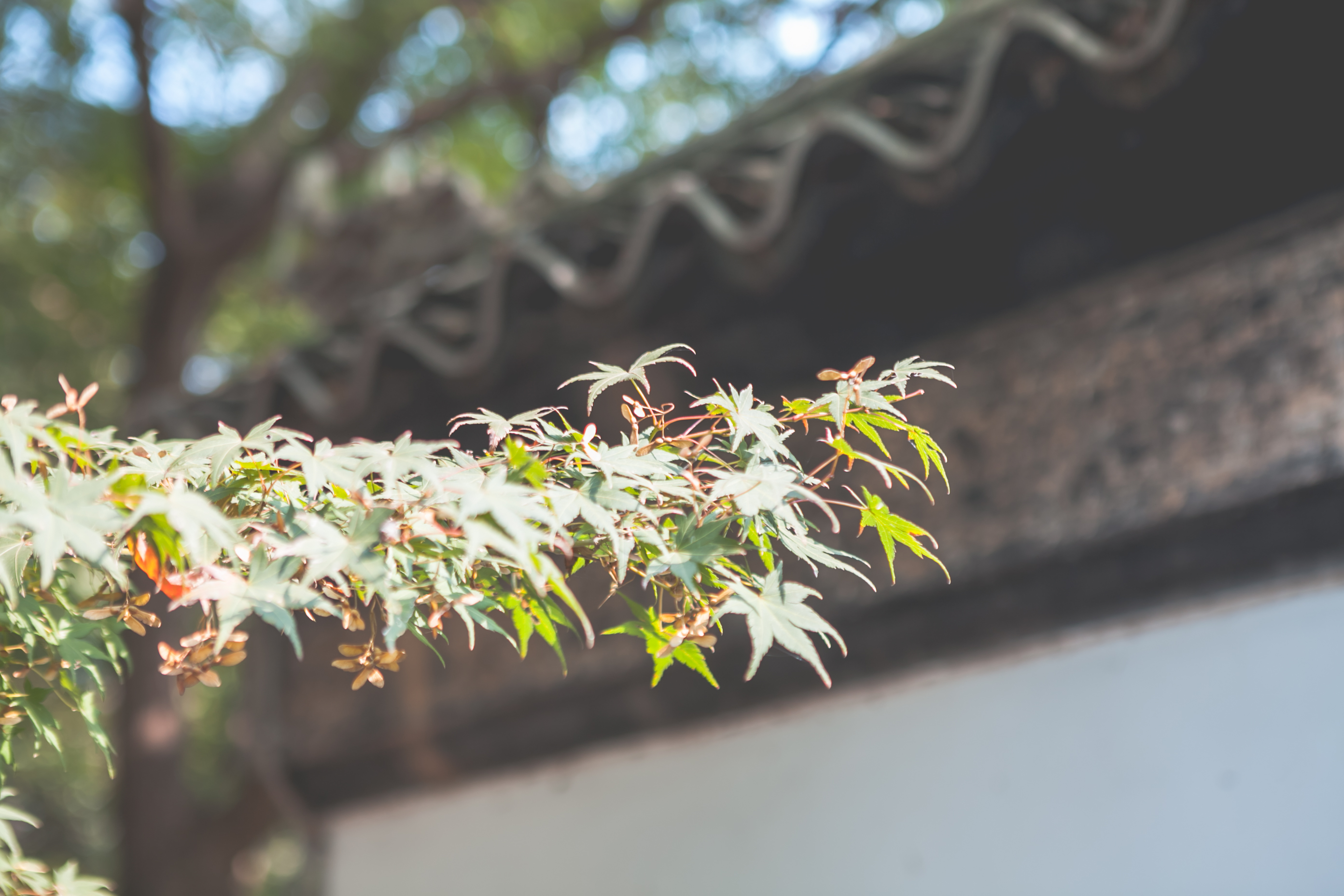 秋天的无锡美的醉人，去无锡旅行，这些好地方不要错过了