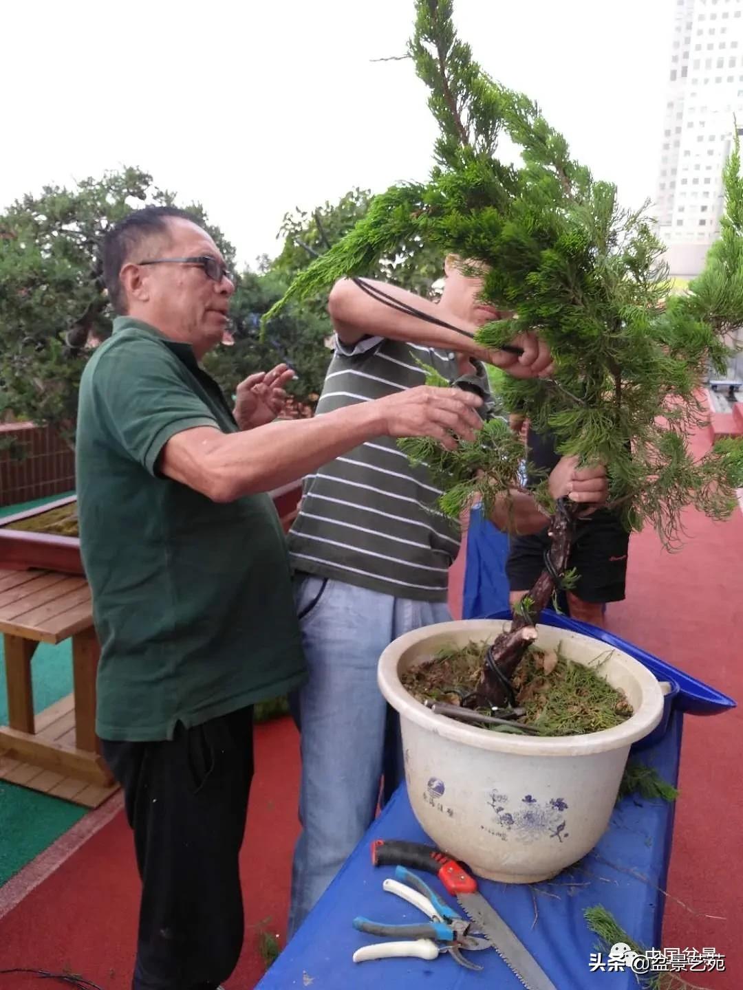 涓浗钁楀悕鐩嗘櫙澶у笀绮惧搧鐩嗘櫙,鐩嗘櫙鑹烘湳瀹跺拰鐩嗘櫙鑹烘湳澶у笀