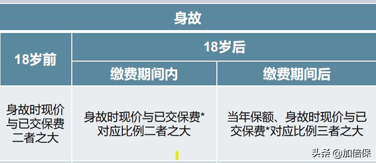 终身寿险和增额终身寿险完美搭配,2023年增额终身寿险最全选购攻略