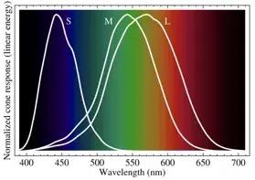 当色盲患者第一次看到色彩瞬间,色盲突然看见色彩的样子