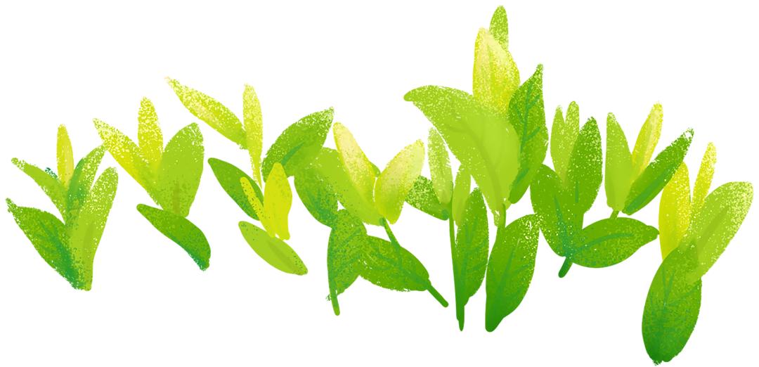 美丽宜居环境建设,美丽宜居街区改善项目