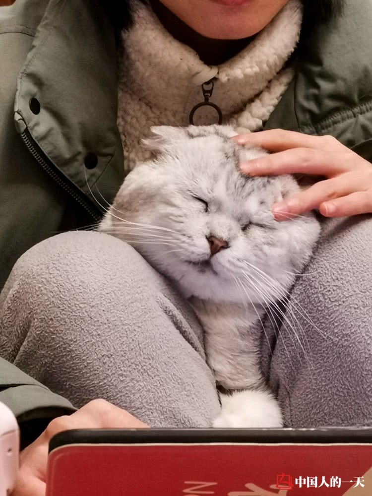 三个女生被困18天,三个女孩被困在密室