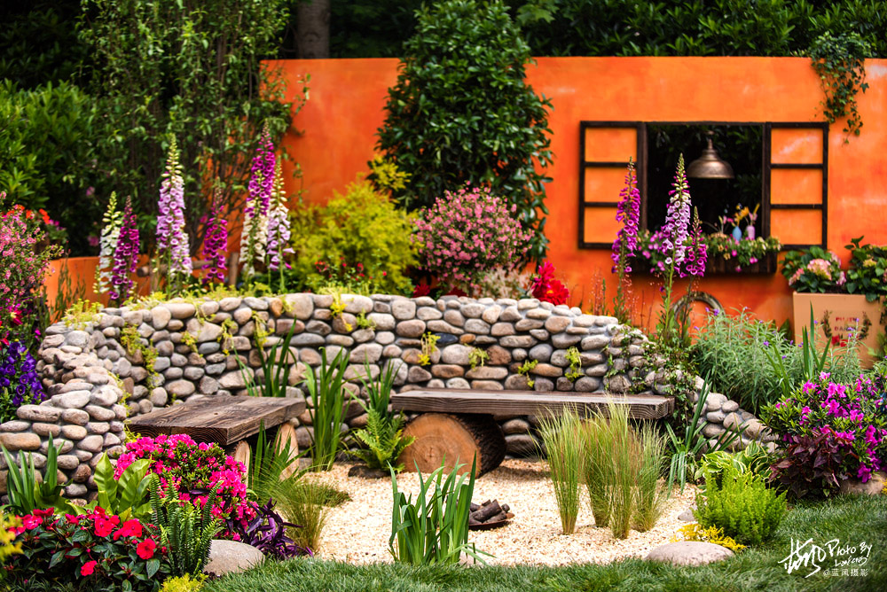 上海国际花展一览表,上海国际花展一览