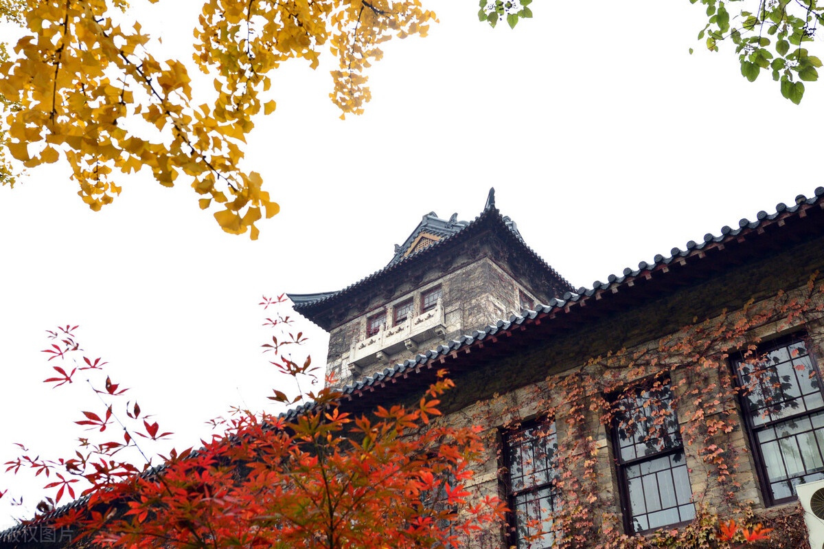 大学没毕业可以做协警吗,大学没学法怎么当检察官