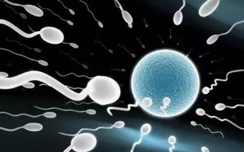 备孕要准备什么才能快速怀上宝宝,一般夫妻备孕几个月能怀上小孩