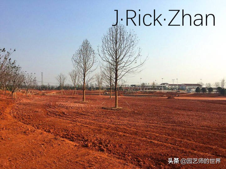 怎样种植草坪技术,果岭草坪的种植养护方法及技巧