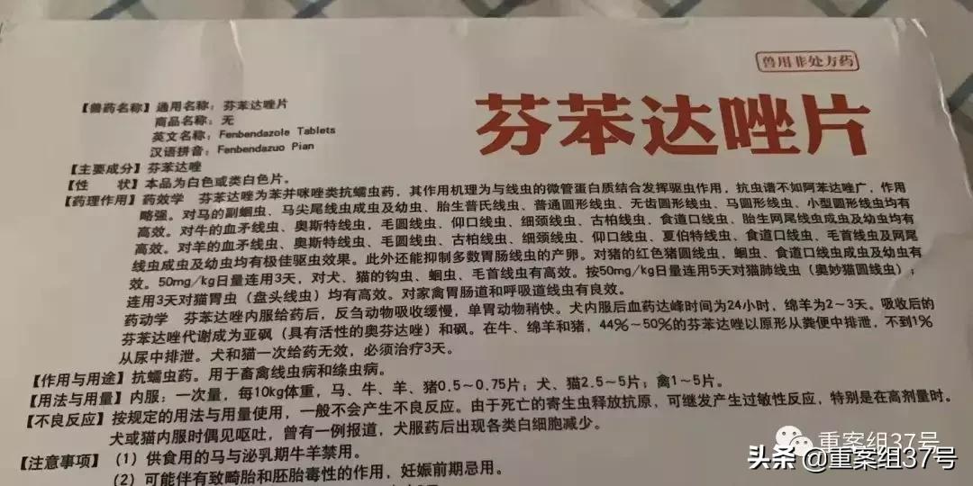 兽药抗癌最佳治疗方案,兽药治癌症原文