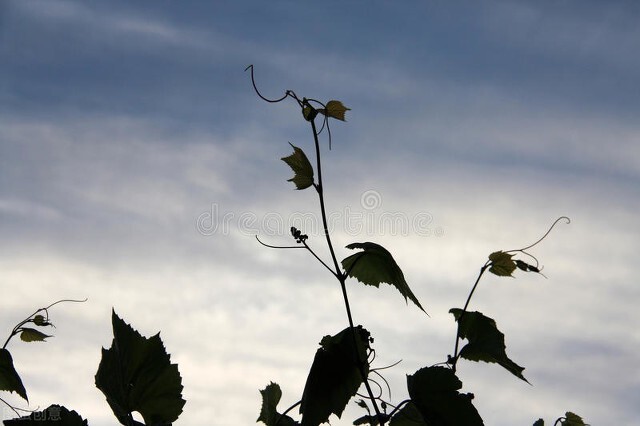 散文农耕文化,散文乌蒙山水