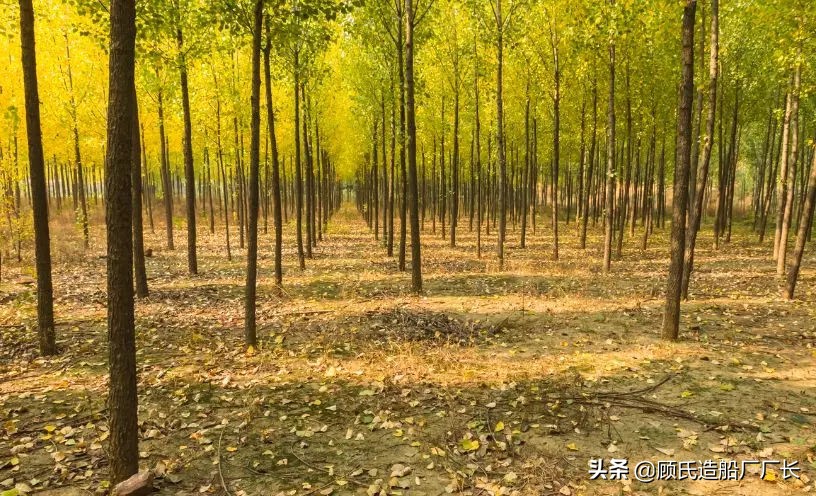 战斗机空难记录,战斗机空难事件盘点
