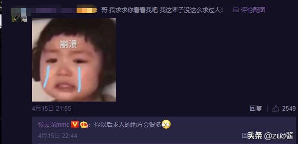 张云龙怼人视频全集,张云龙吐槽大合集
