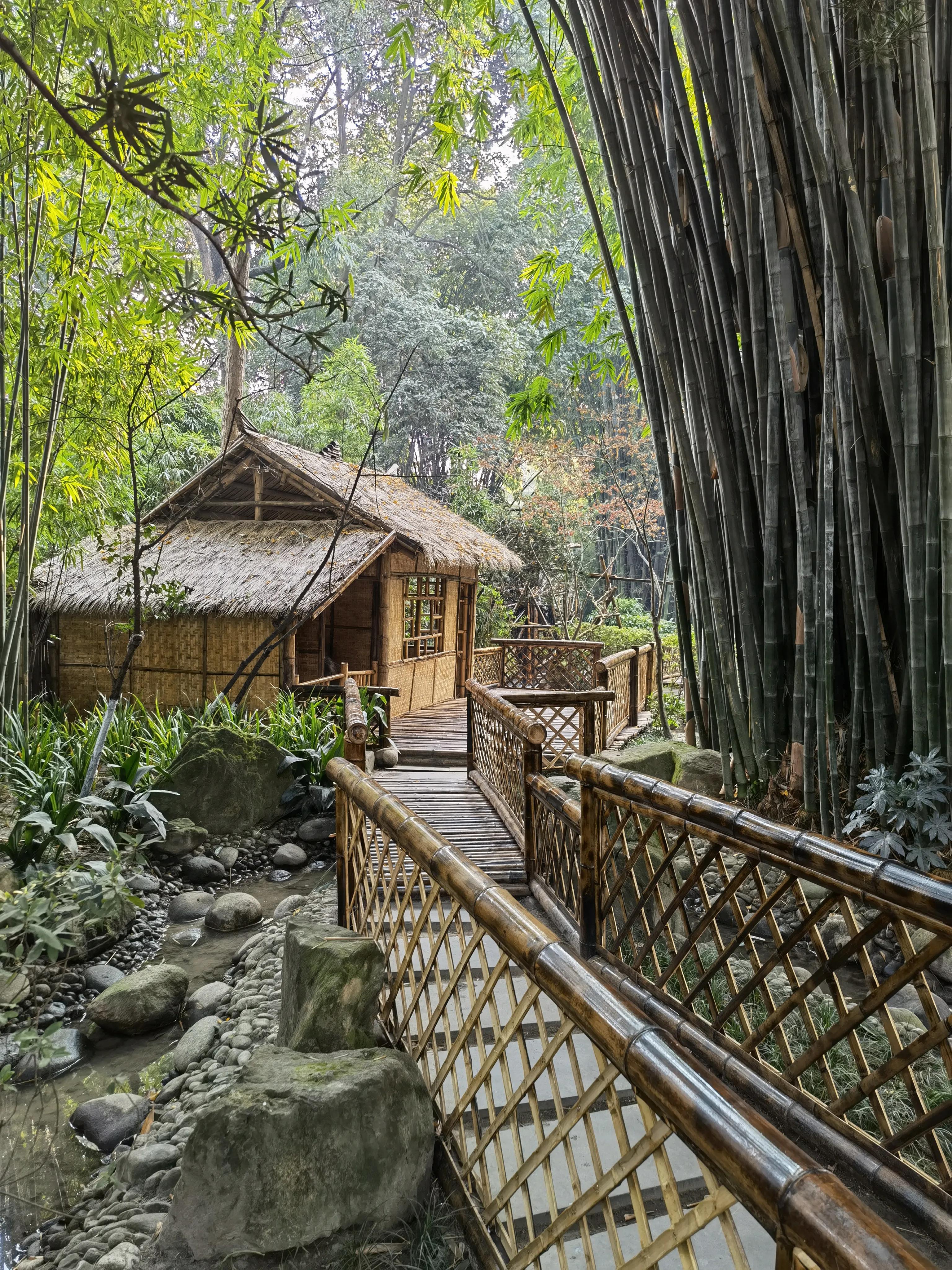 一分钟带你游遍全国,一分钟带你逛完公园