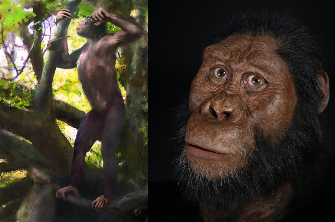 人都是女性生的，在人类出现前，世界上第一个女性是从哪里来的？