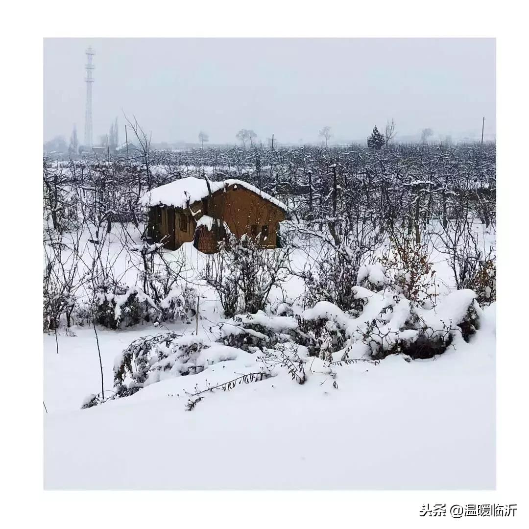 雪后的临沭小城，美得令人窒息