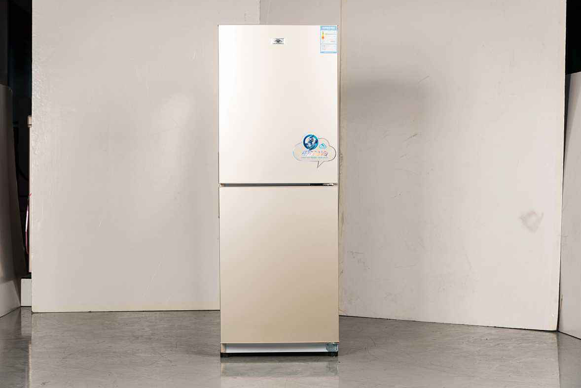 品牌冰箱如何选购技巧视频,冰箱怎么选不要只看品牌