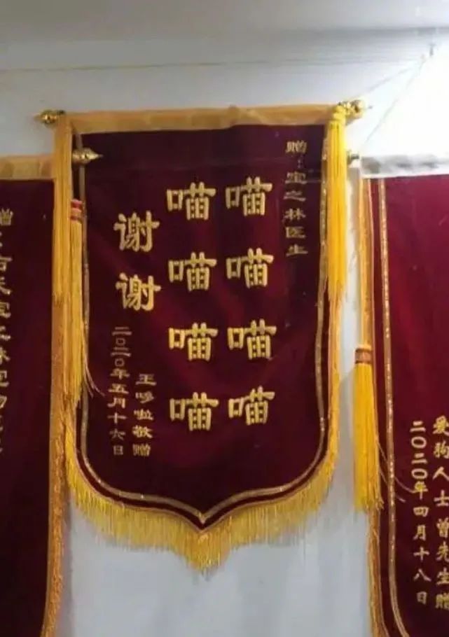 每日内涵囧图,每日囧图笑你一整天