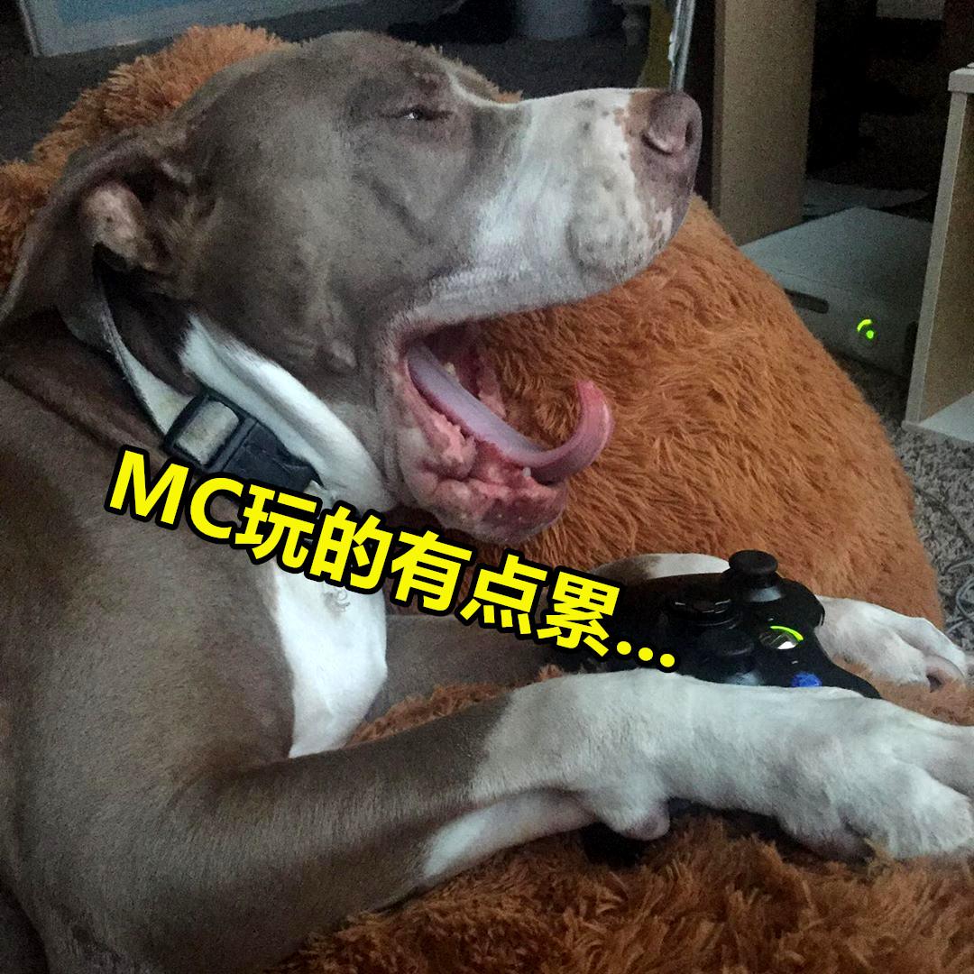 我的世界mc宠物生存合集,我的世界五个玩家喜欢的宠物