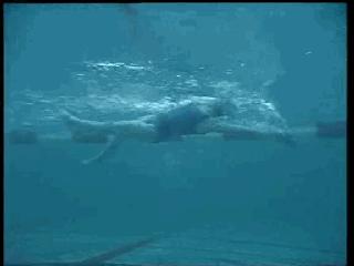 爬泳转身技术,爬泳中后交叉教学