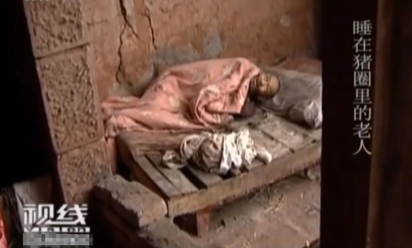 不孝女让7旬老人住猪圈现状,女儿让爸爸住猪圈什么原因