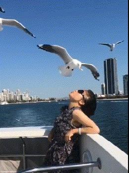 新娘开心的搞笑视频,搞笑gif开心一刻女司机上车