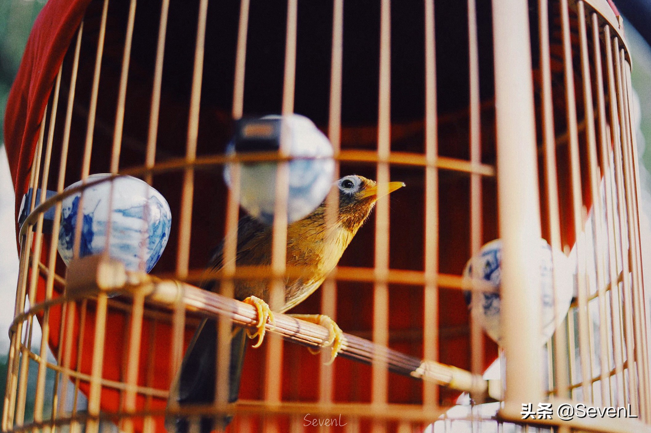 成都必去打卡地方杜甫草堂,成都东郊记忆杜甫草堂