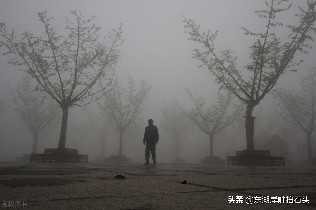 滕州和枣庄人口对比,滕州人口2021总人数