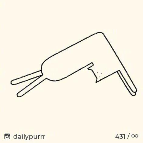 猫的本质是液体，不信看这里，萌化你