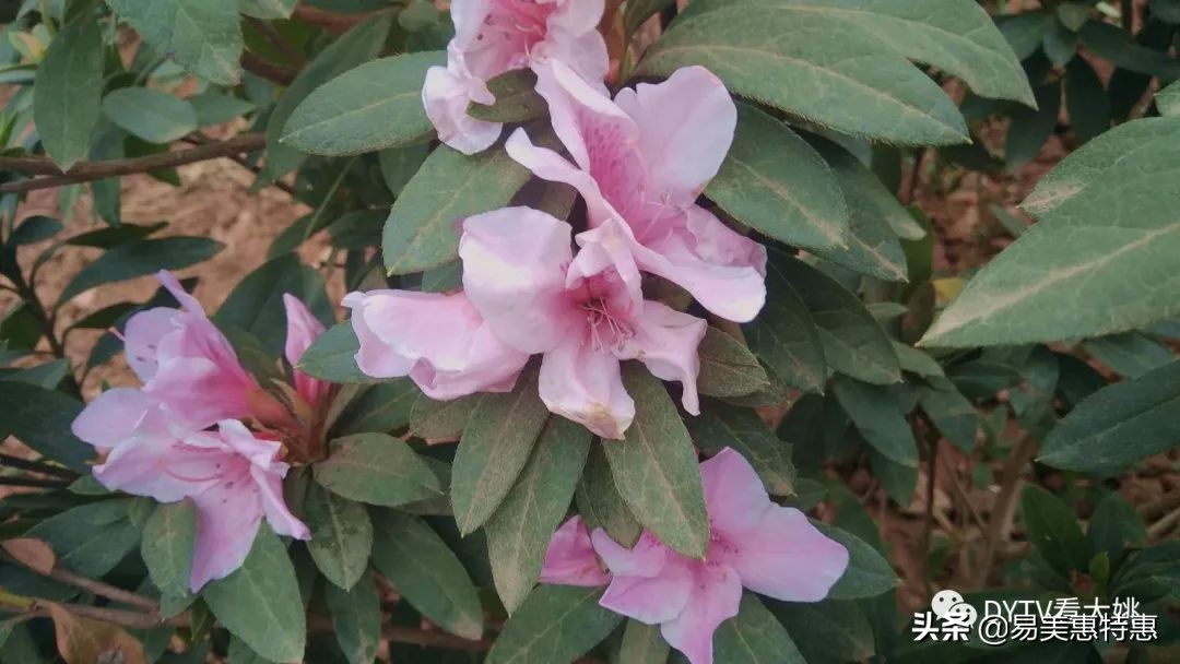 大姚县健身,大姚县西河森林运动公园