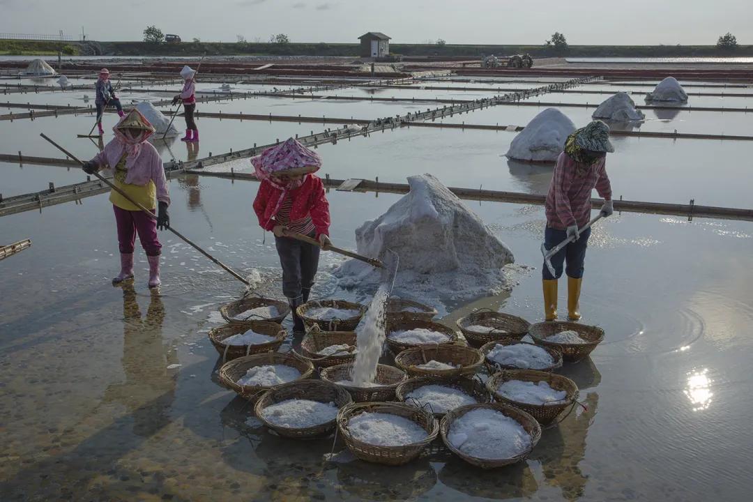 穿越十种必备技能,穿越必备技能完整版