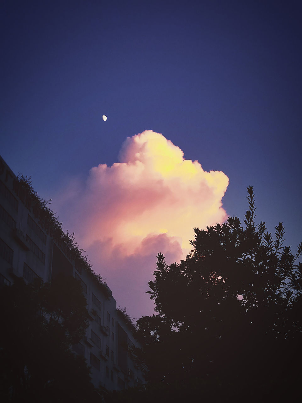 宅在家的日子的精美语录,宅在家的日子里都悟了什么