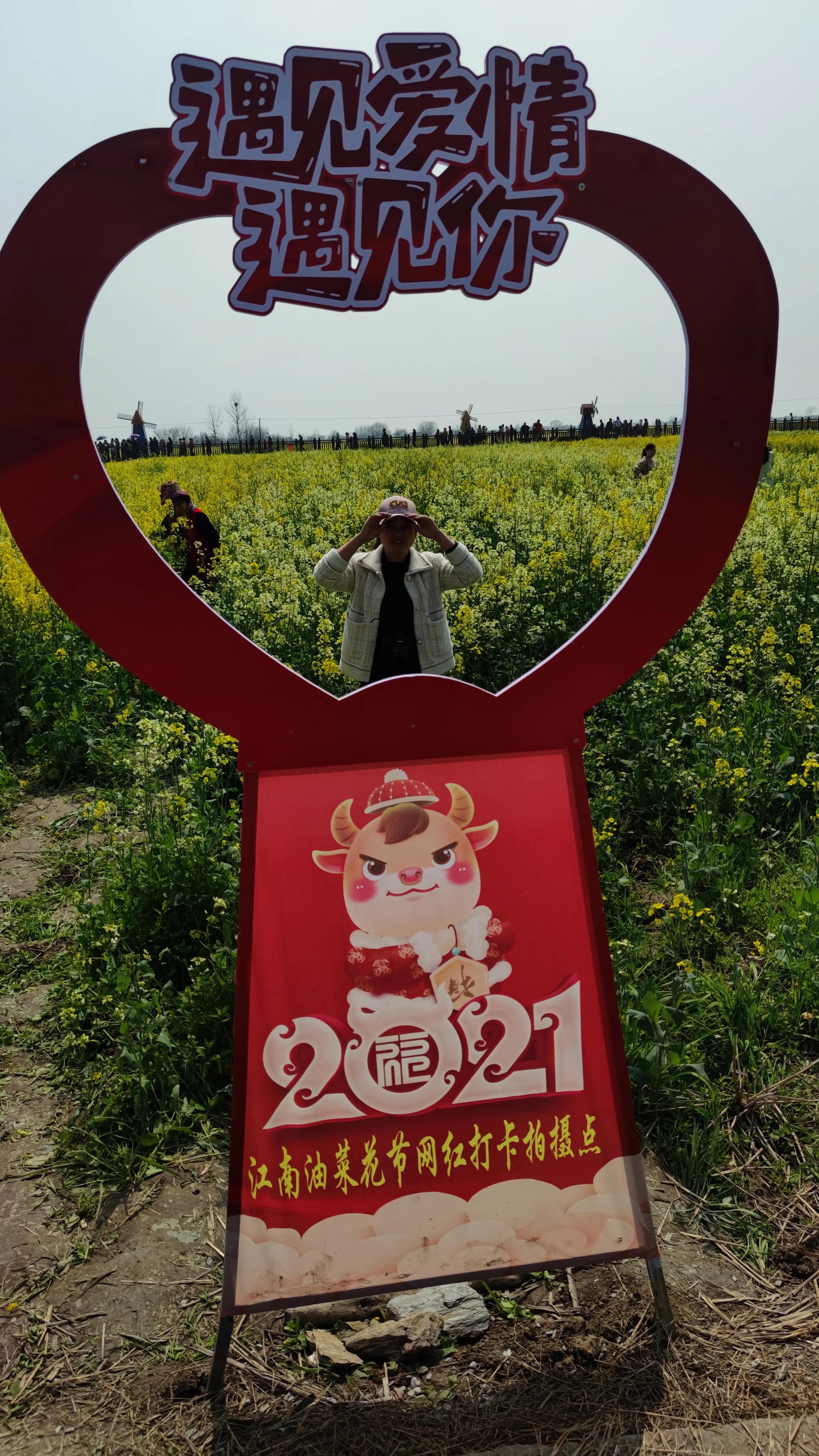 临湘江南油菜花,临湘江南公社长江村国际油菜节