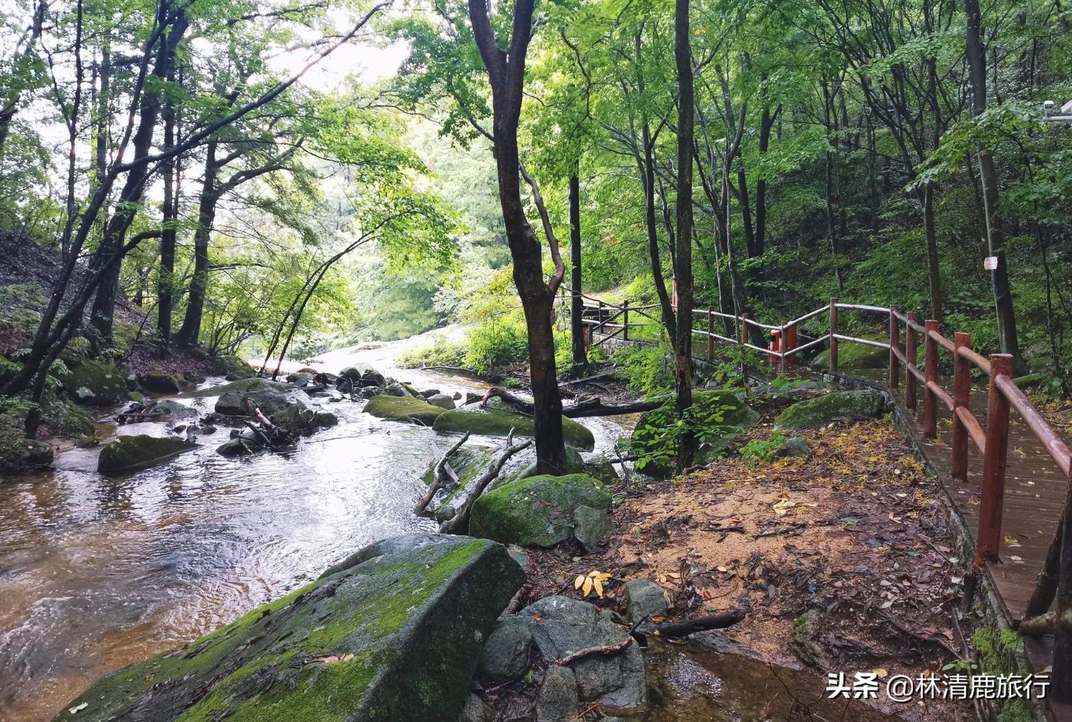 河南境内有山有水不累的景区,河南爬山玩水景点推荐