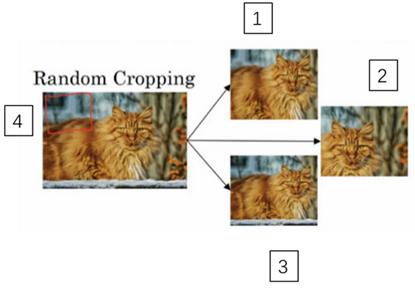 吴恩达深度学习笔记,90-数据扩充（Dataaugmentation）