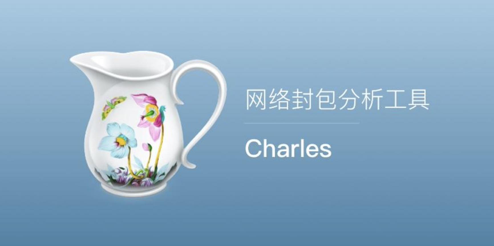 网络抓包分析工具软件,手机网络抓包工具