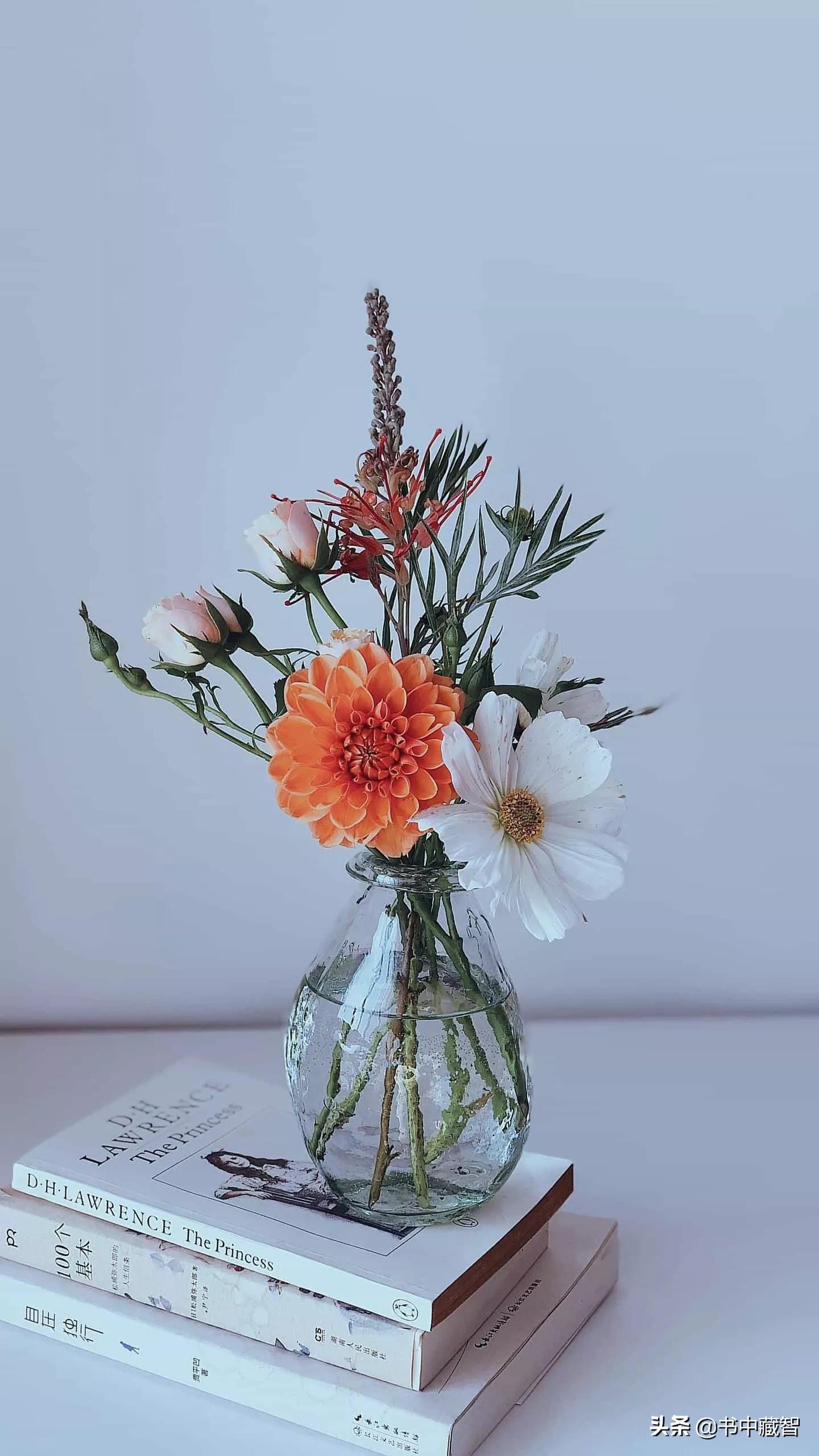 互联网+和互联网有什么关系,什么是互联网与资本的结合