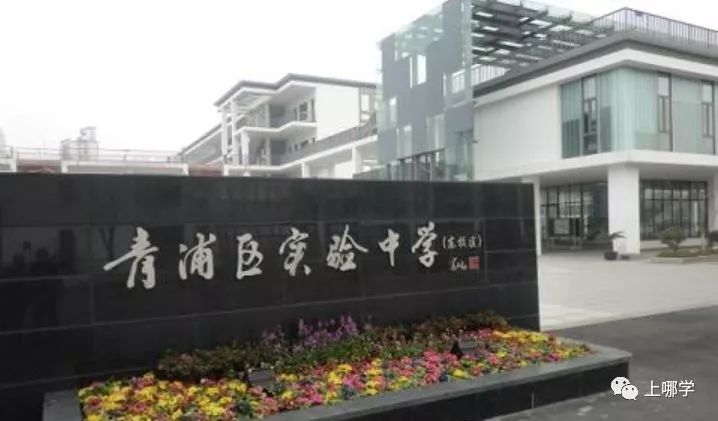 上海10所最鸡血初中,上海十大黑马