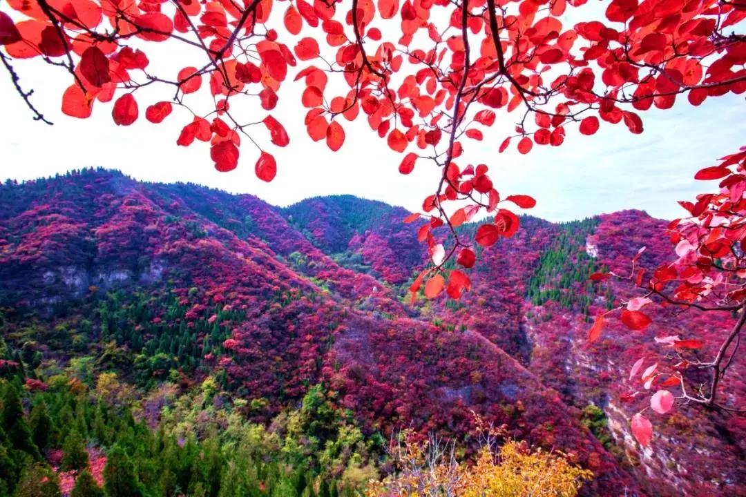 沂水县百强县城排名,沂水全国百强县排名