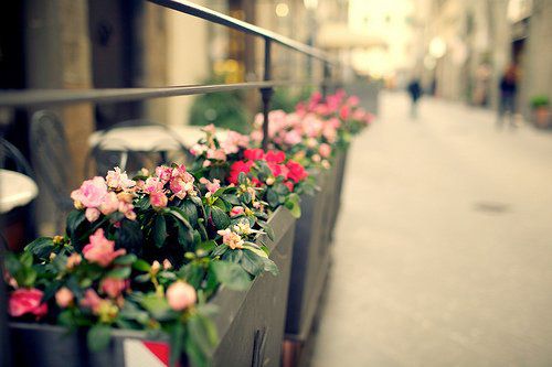 走到尽头和没有尽头是什么意思,有些路走到尽头无路可走