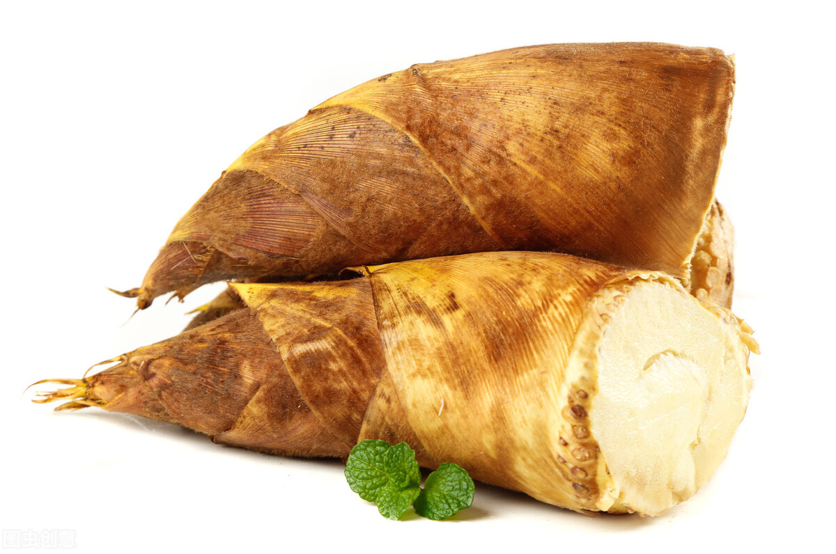 冬笋从哪里长出来好吃,冬笋的生长在哪里