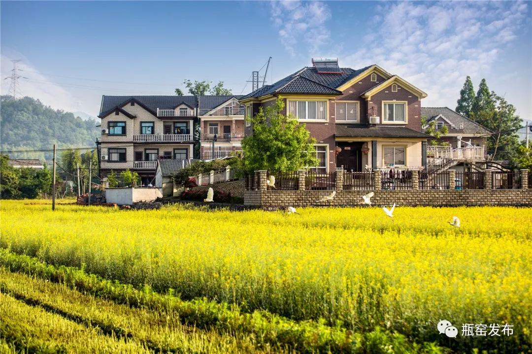 带你游浙江最美乡村,带你们看浙江风景