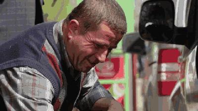 告别流浪猫展览再现12个吸猫圣地,最治愈的吸猫胜地